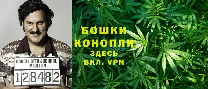 Конопля Ganja  Воскресенск 